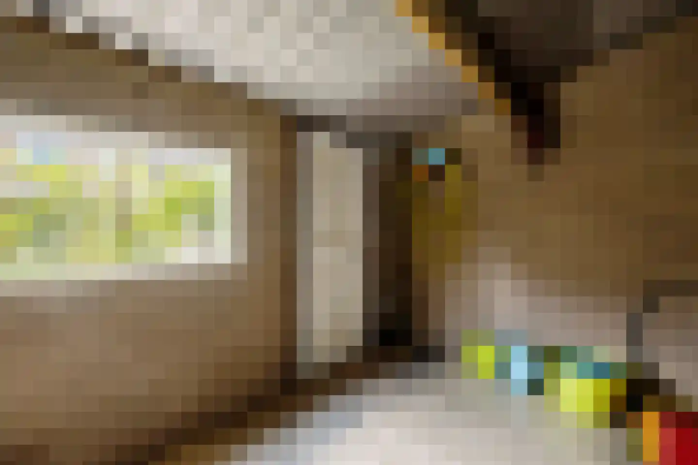 Onze Lieve Vrouwedijk 8 Waalre thumbnail 24