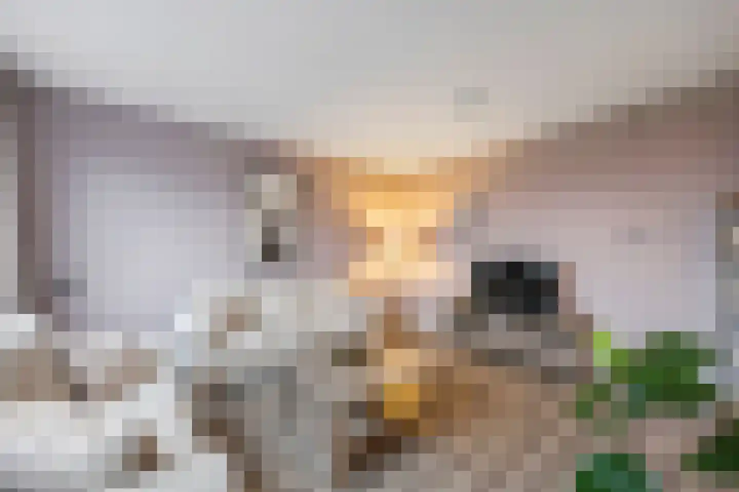 Onze Lieve Vrouweplein 14 Roermond thumbnail 7