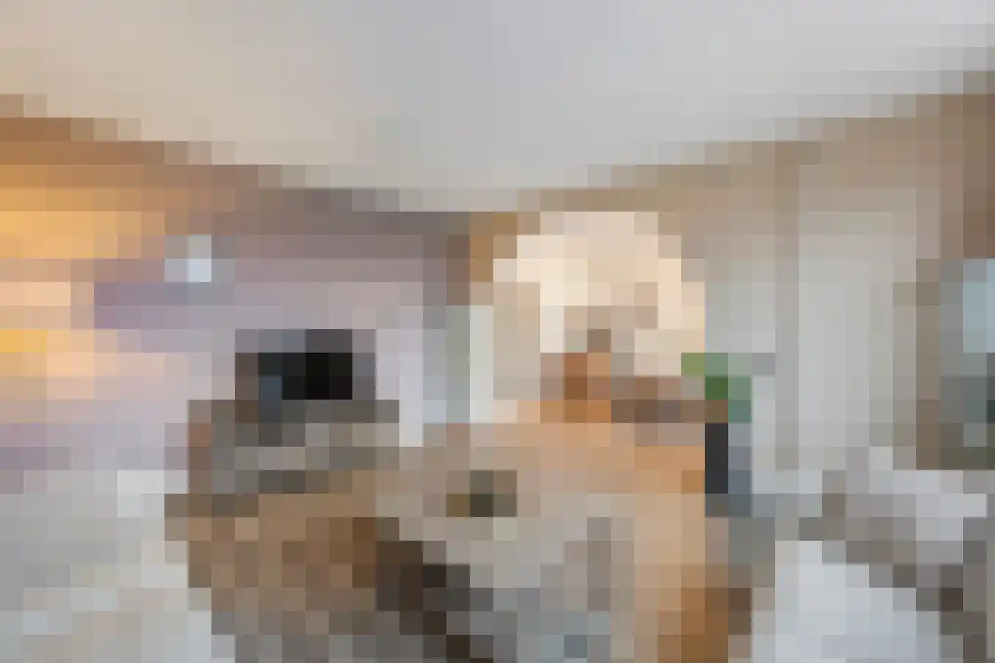 Onze Lieve Vrouweplein 14 Roermond thumbnail 8