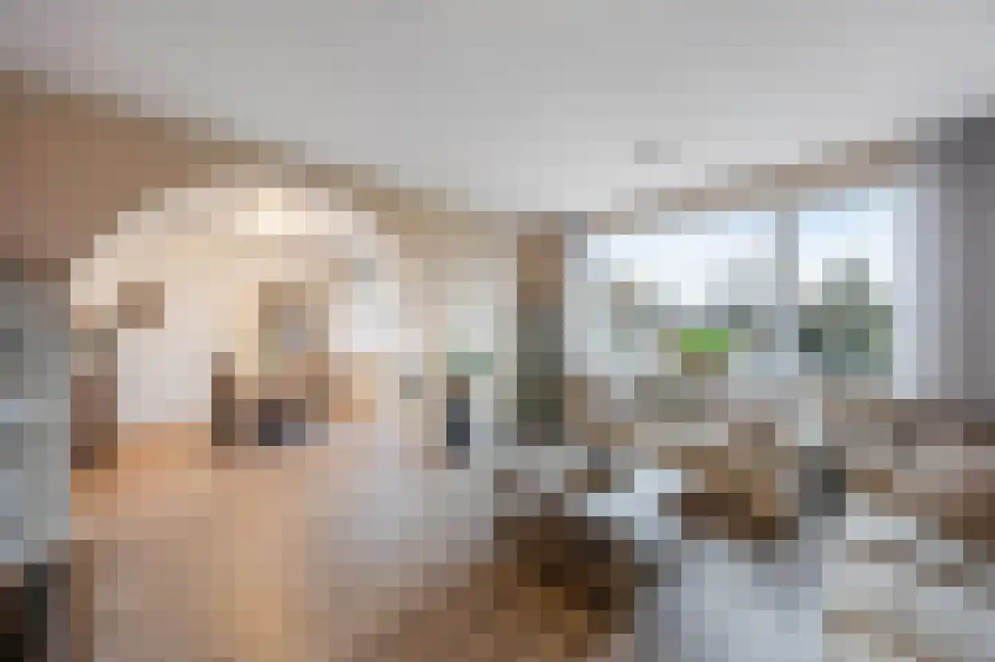 Onze Lieve Vrouweplein 14 Roermond thumbnail 9