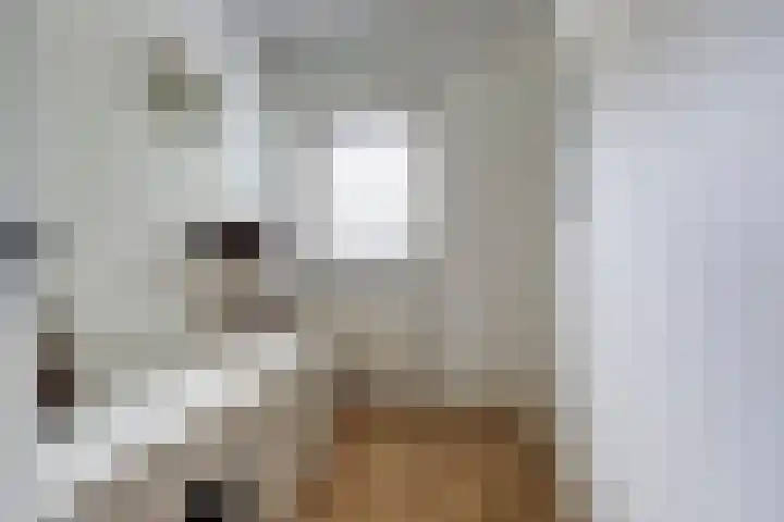 Onze Lieve Vrouweplein 18 Venlo thumbnail 13