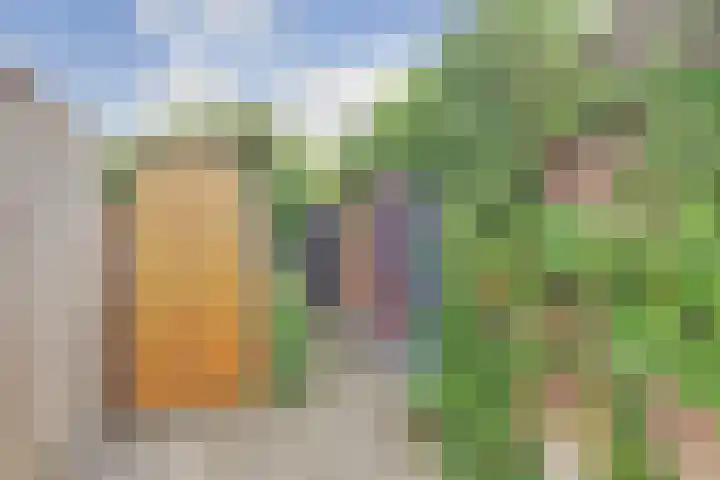 Onze Lieve Vrouweplein 18 Venlo thumbnail 22