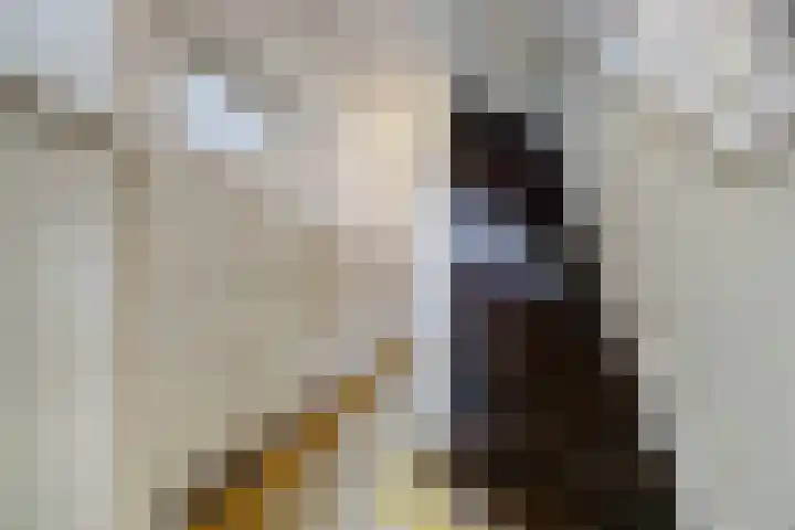 Onze Lieve Vrouweplein 18 Venlo thumbnail 4