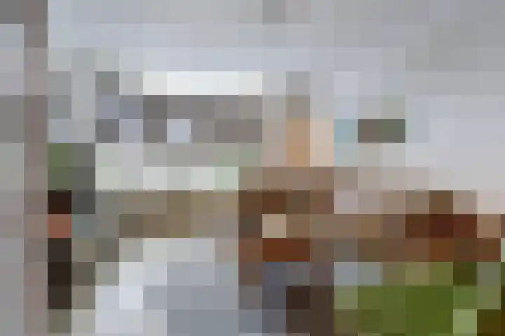 Onze Lieve Vrouweplein 18 Venlo thumbnail 5