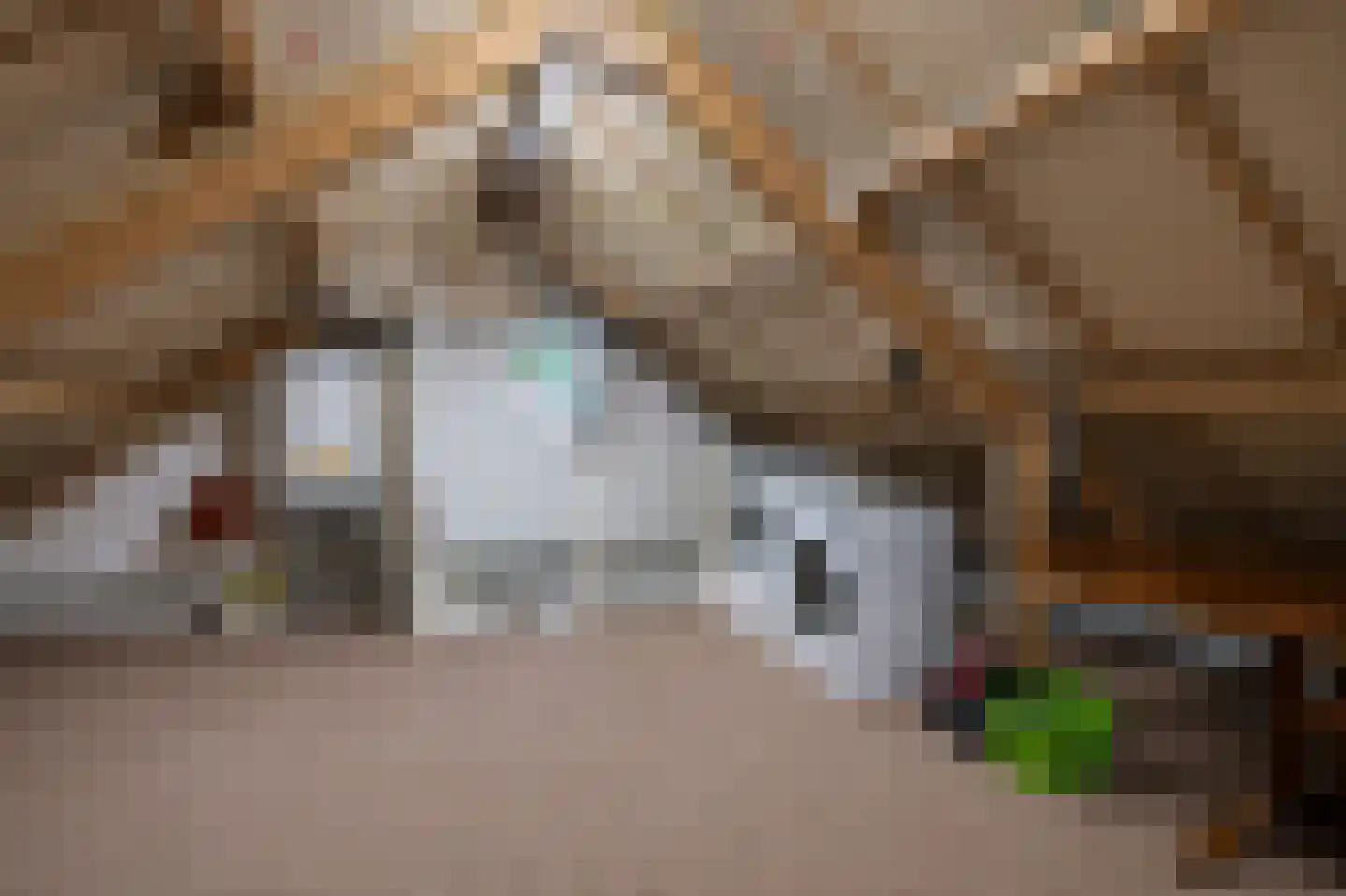 Onze Lieve Vrouweplein 28 Voerendaal thumbnail 20