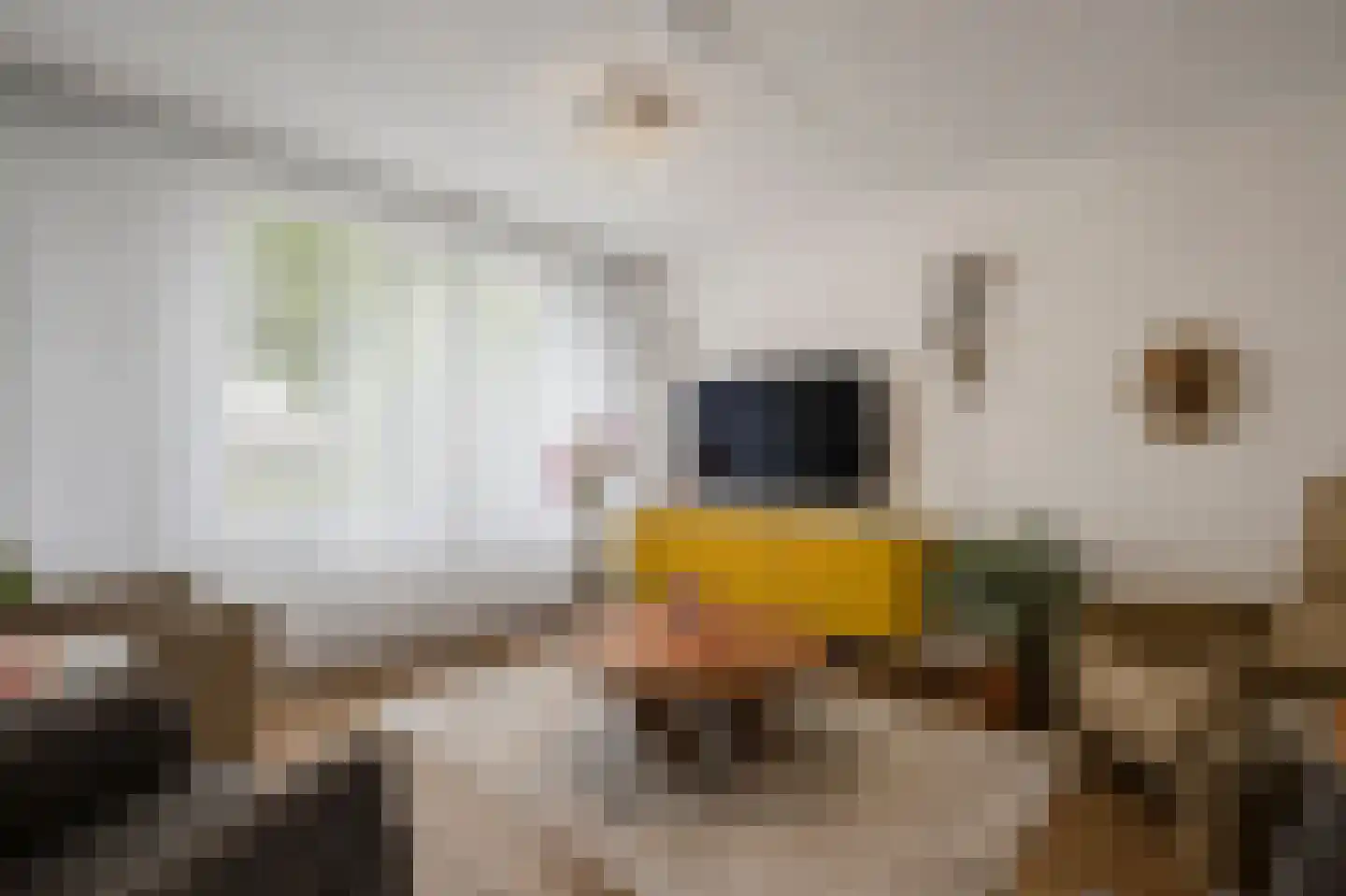 Onze Lieve Vrouweplein 28 Voerendaal thumbnail 6