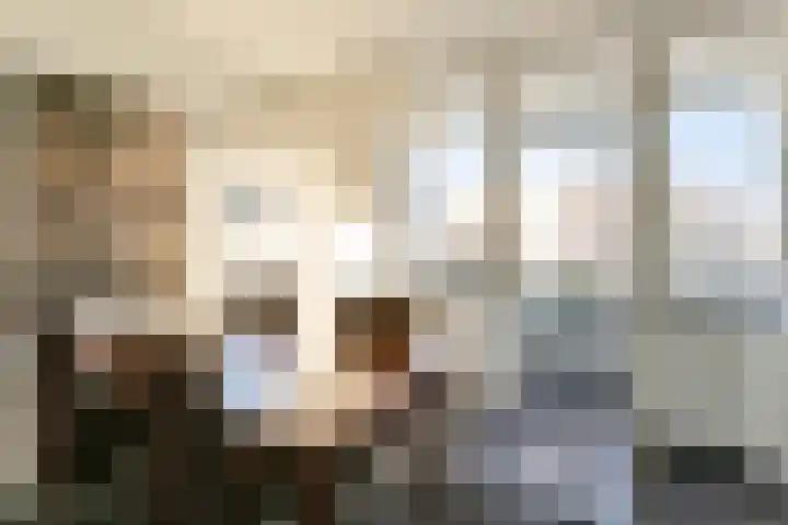 Onze Lieve Vrouweplein 3 Roermond thumbnail 12