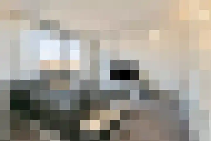 Onze Lieve Vrouweplein 3 Roermond thumbnail 6