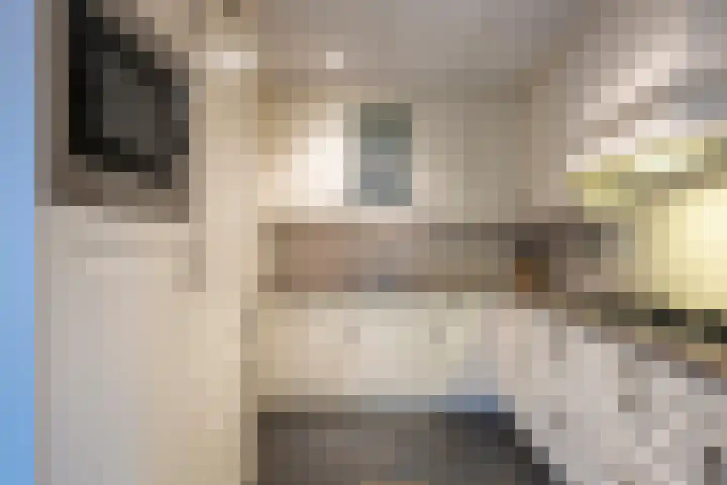 Onze Lieve Vrouweplein 45 Voerendaal thumbnail 17