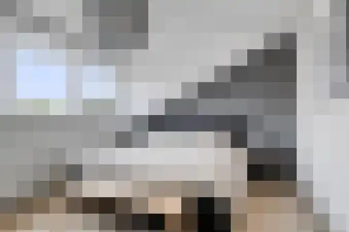 Onze Lieve Vrouweschutsstraat 17 Vlijmen thumbnail 13