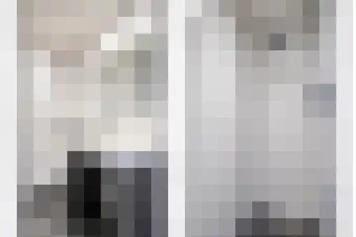 Onze Lieve Vrouweschutsstraat 17 Vlijmen thumbnail 16