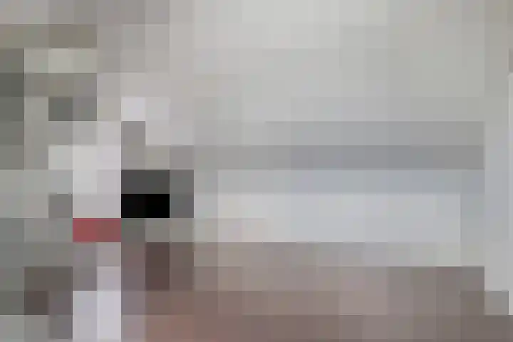 Onze Lieve Vrouweschutsstraat 17 Vlijmen thumbnail 22