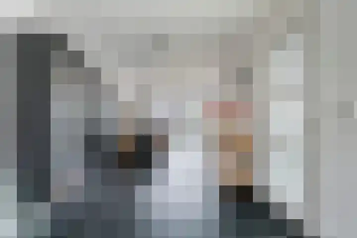 Onze Lieve Vrouweschutsstraat 17 Vlijmen thumbnail 7