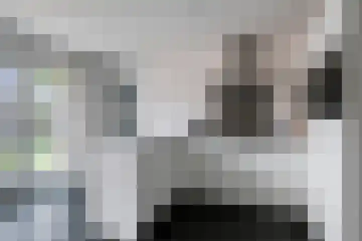 Onze Lieve Vrouweschutsstraat 17 Vlijmen thumbnail 9