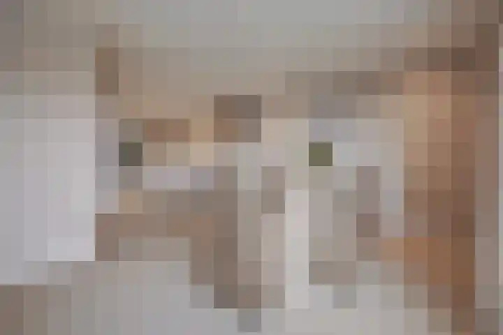 Onze Lieve Vrouweschutsstraat 19 Vlijmen thumbnail 10