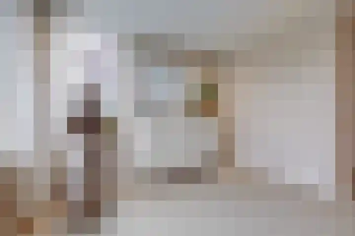 Onze Lieve Vrouweschutsstraat 19 Vlijmen thumbnail 11