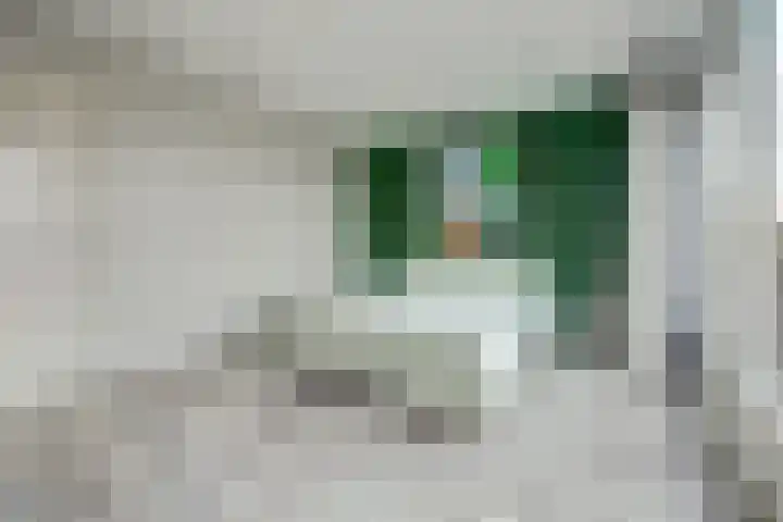 Onze Lieve Vrouweschutsstraat 19 Vlijmen thumbnail 15