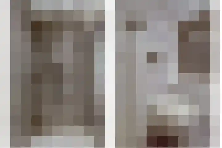 Onze Lieve Vrouweschutsstraat 19 Vlijmen thumbnail 20