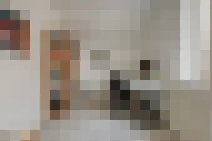 Onze Lieve Vrouweschutsstraat 19 Vlijmen thumbnail 23