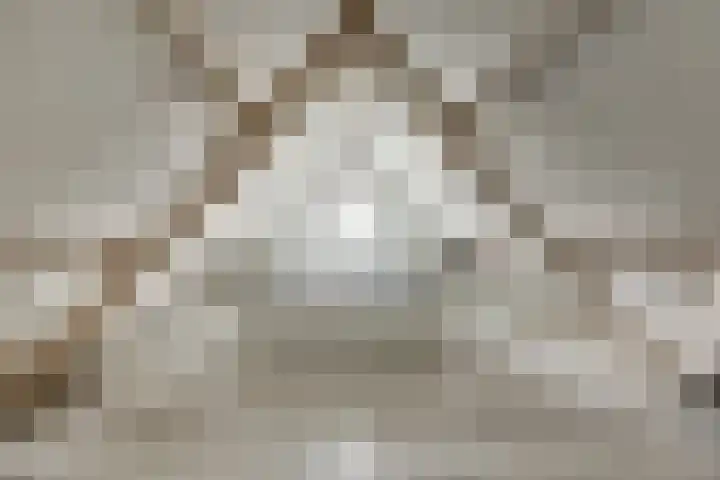 Onze Lieve Vrouweschutsstraat 19 Vlijmen thumbnail 26
