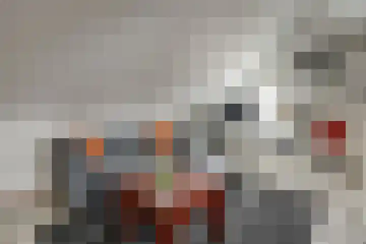 Onze Lieve Vrouweschutsstraat 19 Vlijmen thumbnail 28
