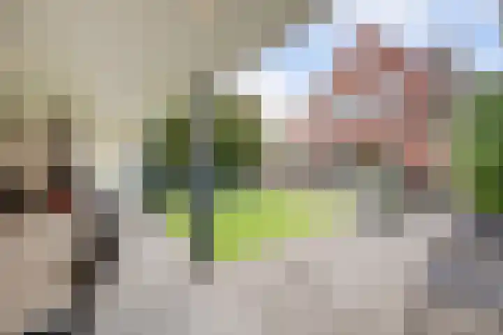 Onze Lieve Vrouweschutsstraat 19 Vlijmen thumbnail 30
