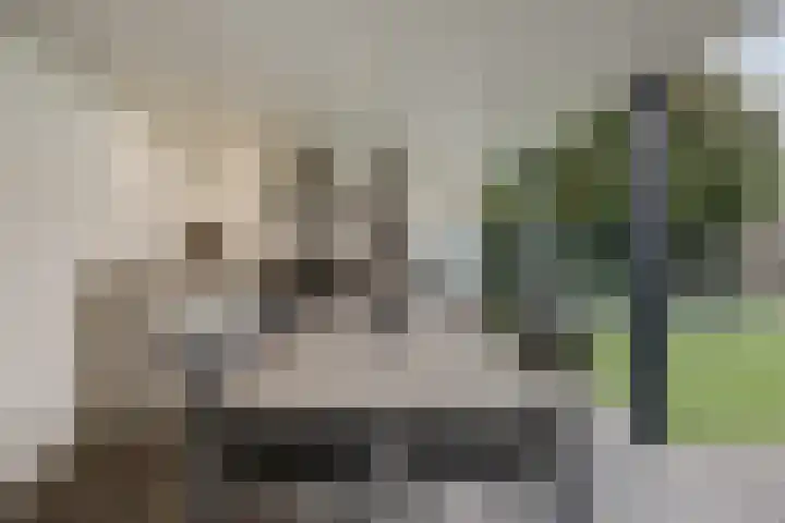 Onze Lieve Vrouweschutsstraat 19 Vlijmen thumbnail 35