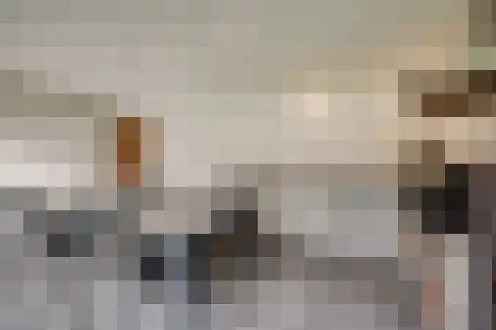 Onze Lieve Vrouweschutsstraat 19 Vlijmen thumbnail 36