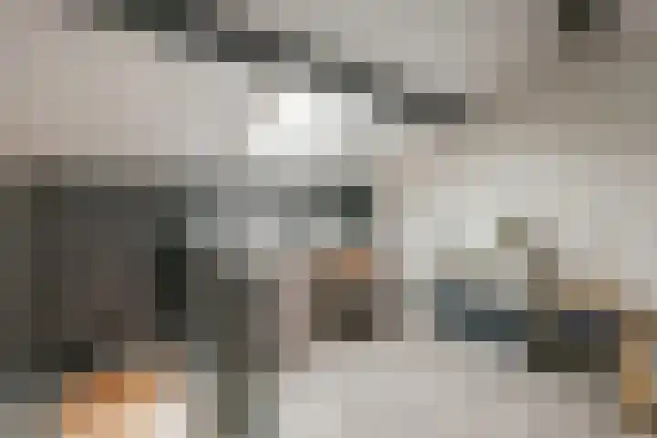 Onze Lieve Vrouweschutsstraat 19 Vlijmen thumbnail 45