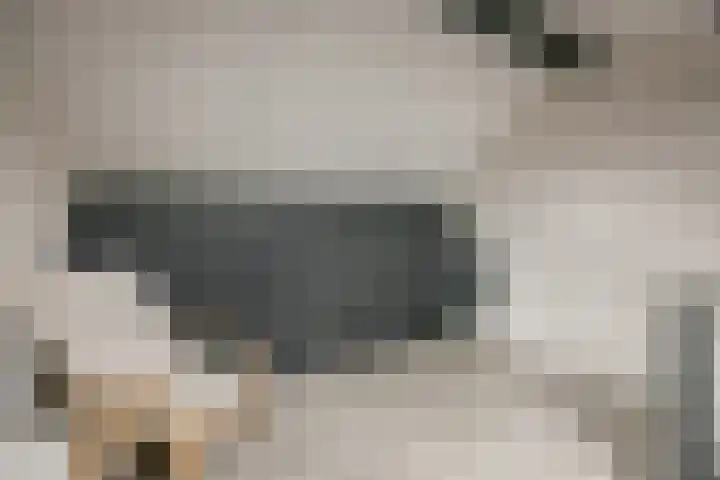 Onze Lieve Vrouweschutsstraat 19 Vlijmen thumbnail 46
