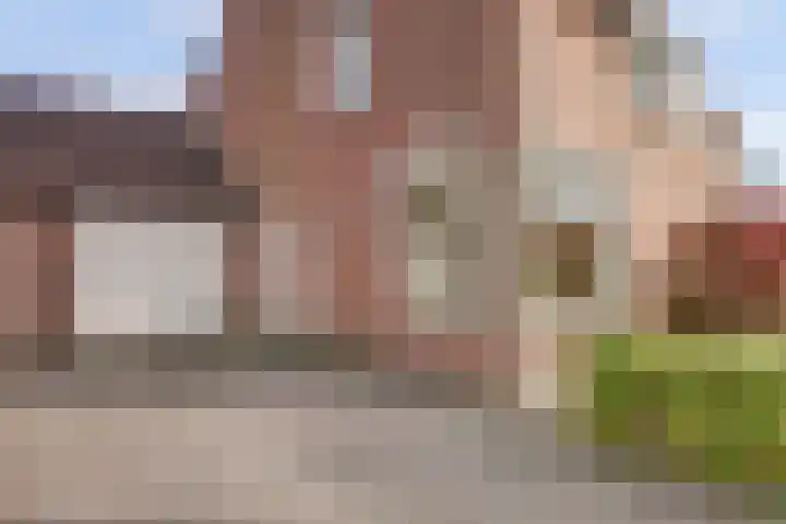 Onze Lieve Vrouweschutsstraat 19 Vlijmen thumbnail 47