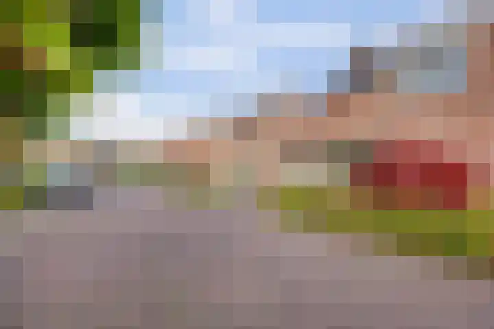 Onze Lieve Vrouweschutsstraat 19 Vlijmen thumbnail 49