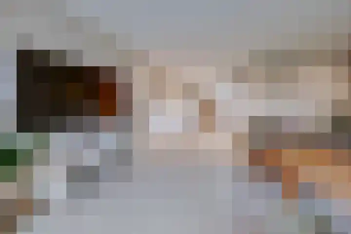 Onze Lieve Vrouweschutsstraat 19 Vlijmen thumbnail 5