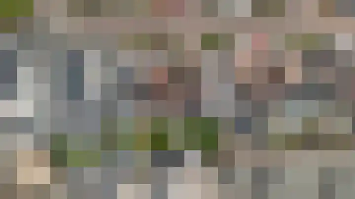 Onze Lieve Vrouweschutsstraat 19 Vlijmen thumbnail 51