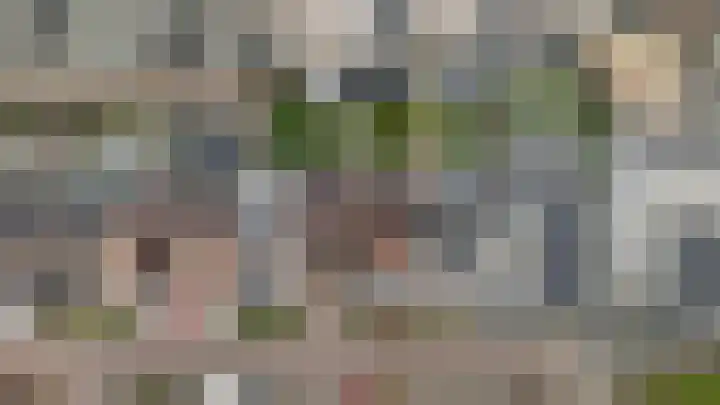 Onze Lieve Vrouweschutsstraat 19 Vlijmen thumbnail 52