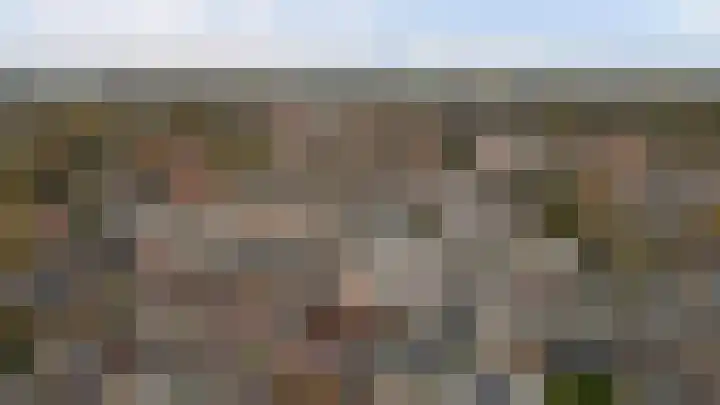 Onze Lieve Vrouweschutsstraat 19 Vlijmen thumbnail 53