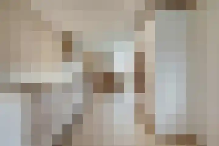 Onze Lieve Vrouweschutsstraat 19 Vlijmen thumbnail 6