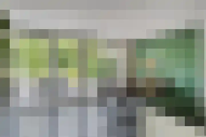 Onze Lieve Vrouweschutsstraat 31 Vlijmen thumbnail 10