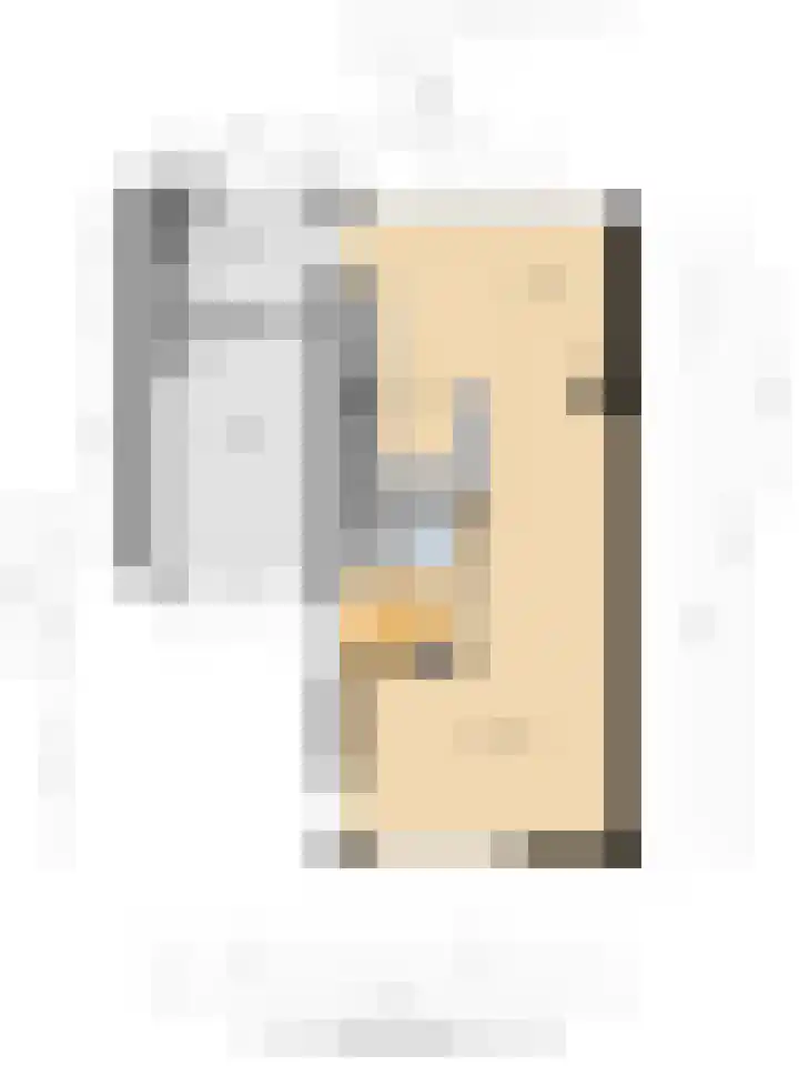 Onze Lieve Vrouweschutsstraat 31 Vlijmen thumbnail 13