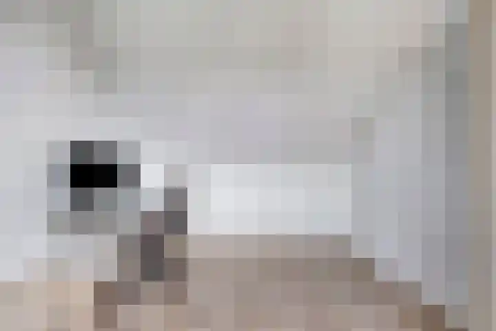 Onze Lieve Vrouweschutsstraat 31 Vlijmen thumbnail 23