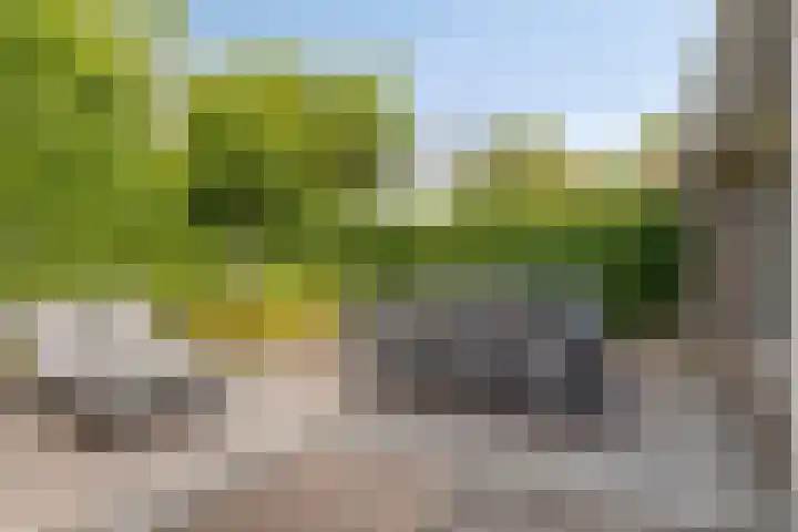Onze Lieve Vrouweschutsstraat 31 Vlijmen thumbnail 27