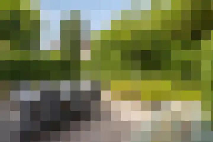Onze Lieve Vrouweschutsstraat 31 Vlijmen thumbnail 28