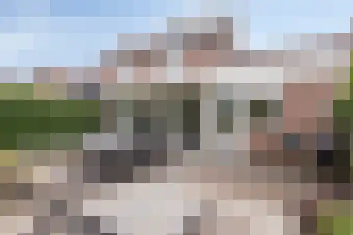 Onze Lieve Vrouweschutsstraat 31 Vlijmen thumbnail 29