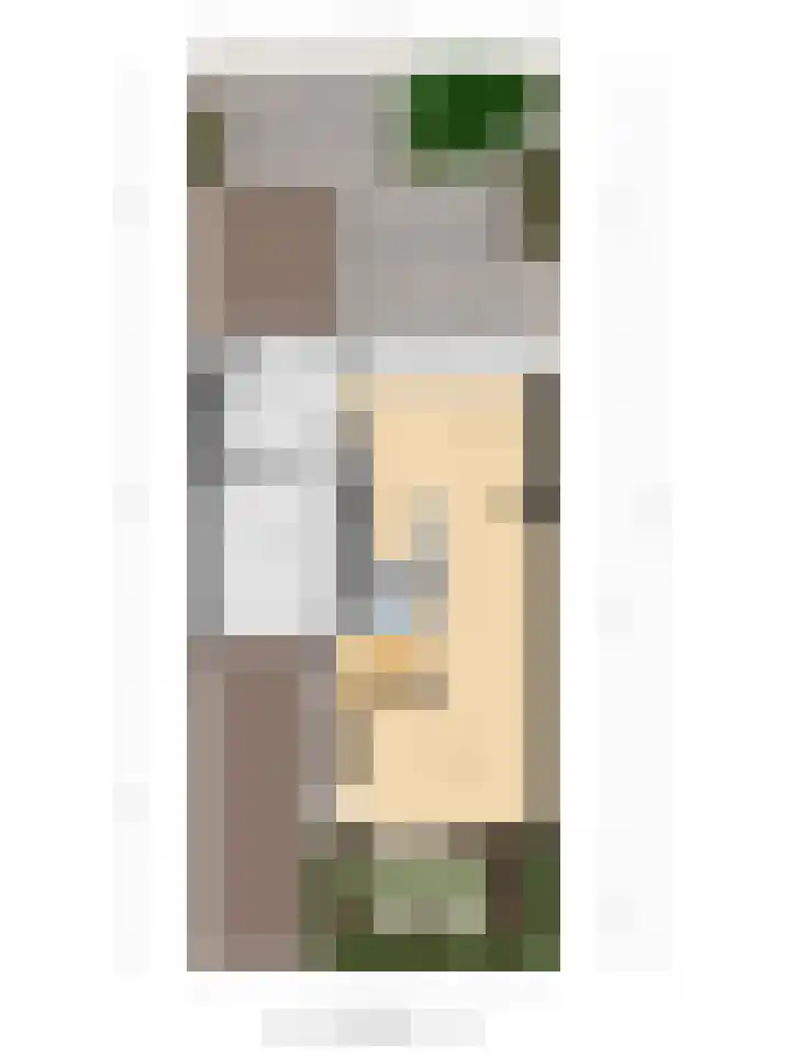 Onze Lieve Vrouweschutsstraat 31 Vlijmen thumbnail 31