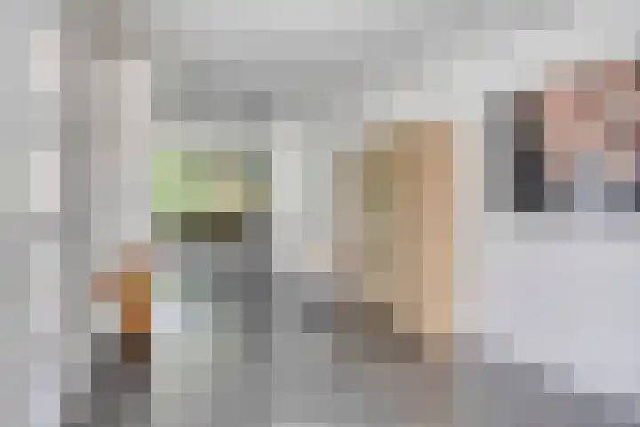 Onze Lieve Vrouweschutsstraat 31 Vlijmen thumbnail 5