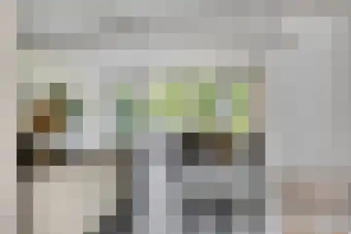 Onze Lieve Vrouweschutsstraat 31 Vlijmen thumbnail 6