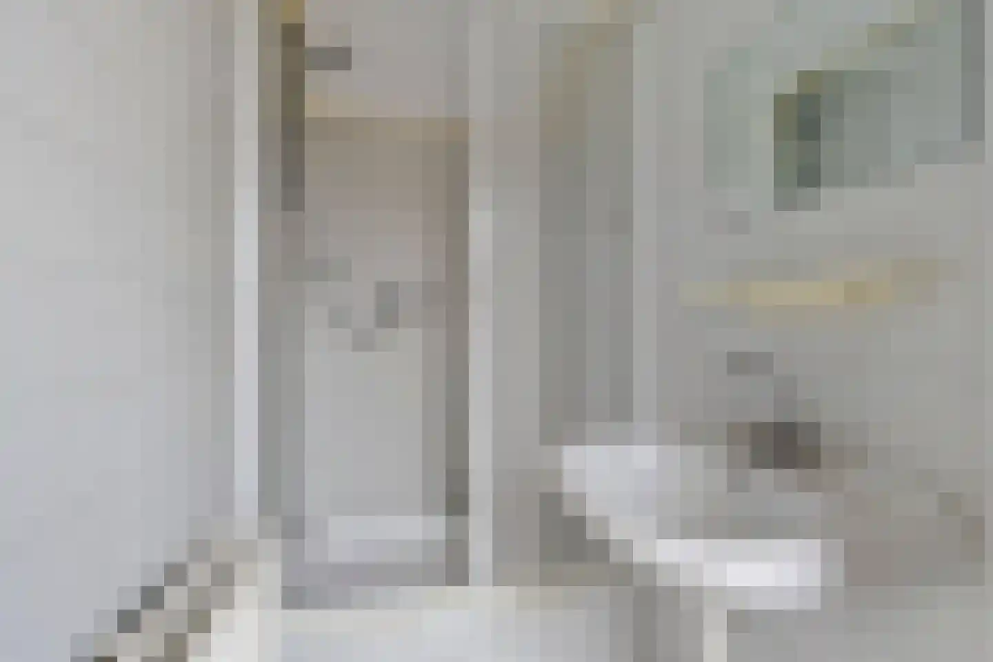 Onze Lieve Vrouweschutsstraat 8 Vlijmen thumbnail 20