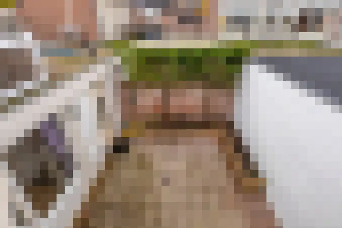 Onze Lieve Vrouweschutsstraat 8 Vlijmen thumbnail 22
