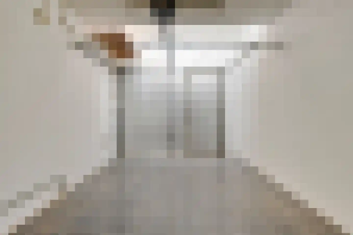Onze Lieve Vrouweschutsstraat 8 Vlijmen thumbnail 24
