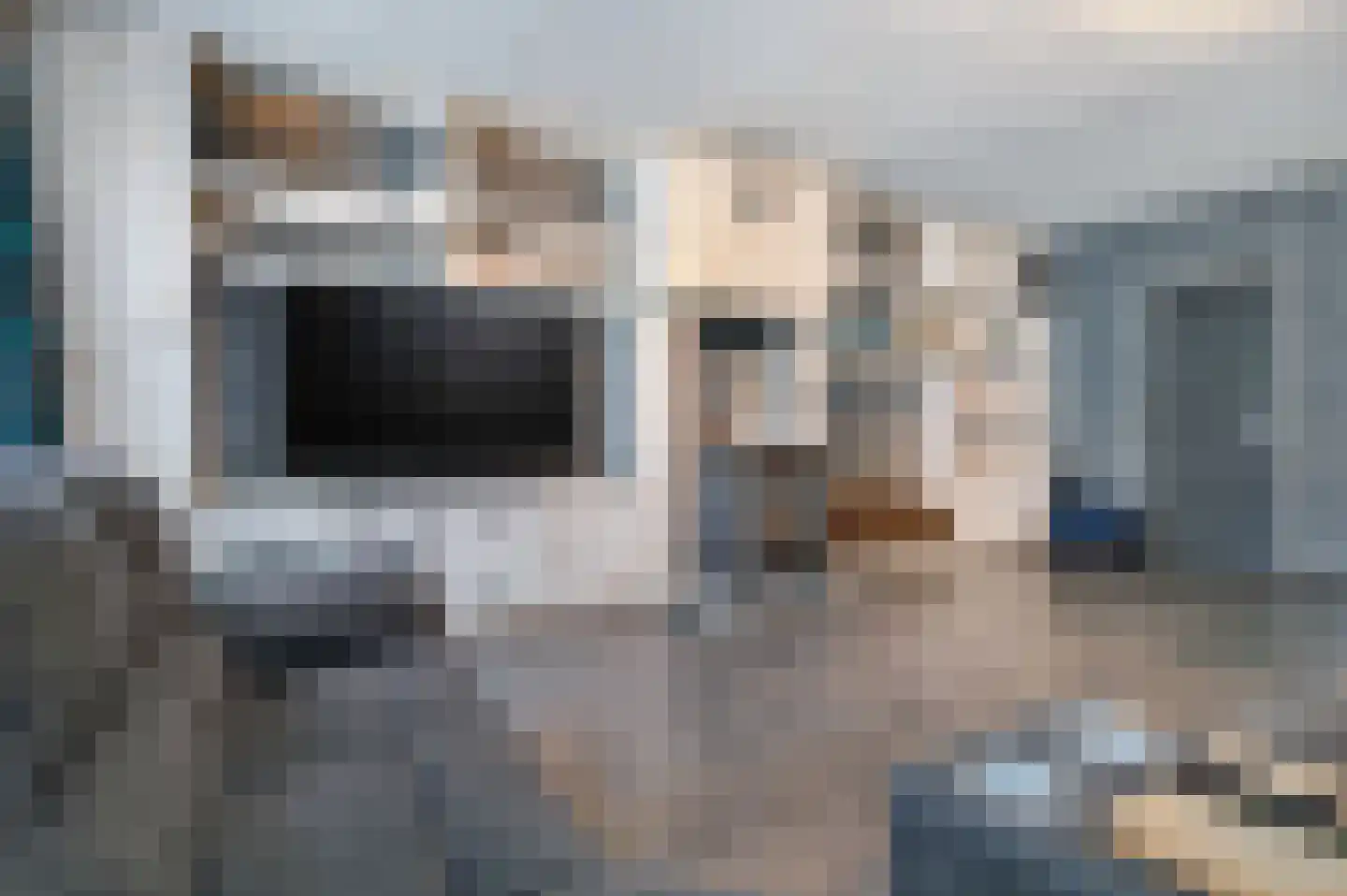 Onze Lieve Vrouwestraat 112 Zegge thumbnail 10